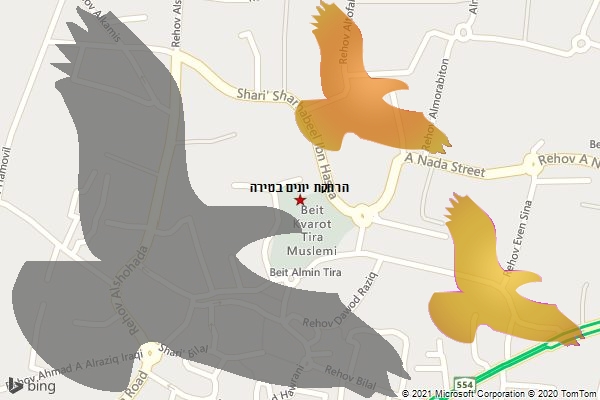 הרחקת יונים בטירה