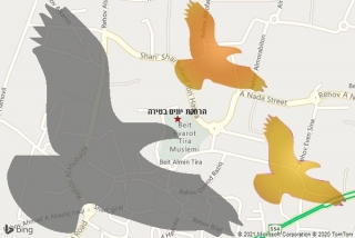 מרחיק יונים בטירה - הרחקת יונים בטירה