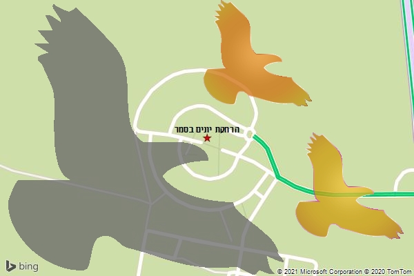 הרחקת יונים בסמר