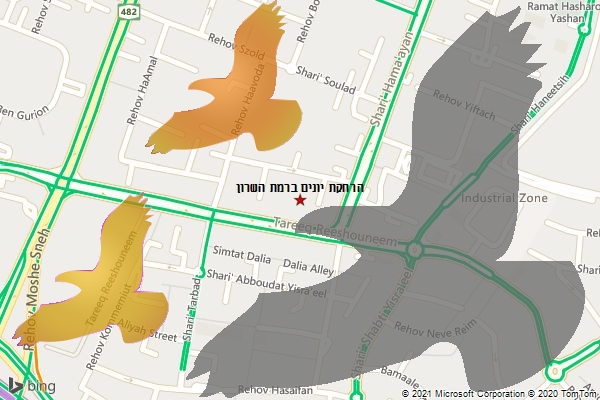 הרחקת יונים ברמת השרון
