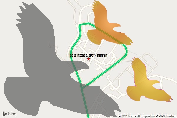 הרחקת יונים במצפה שלם