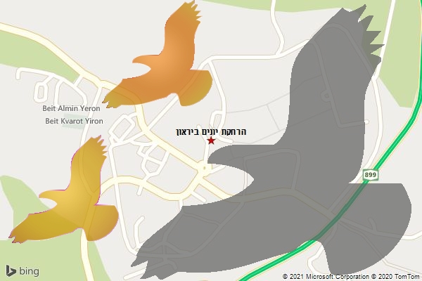 הרחקת יונים ביראון