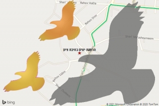 מרחיק יונים בחיבת ציון - הרחקת יונים בחיבת ציון
