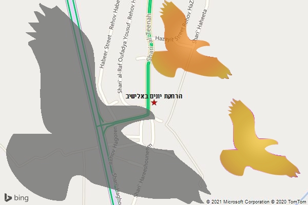הרחקת יונים באלישיב