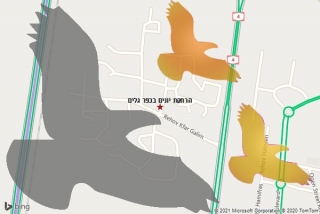 מרחיק יונים בכפר גלים - הרחקת יונים בכפר גלים