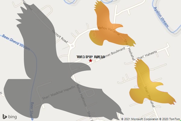 הרחקת יונים בחמד