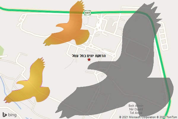 הרחקת יונים בתל עמל