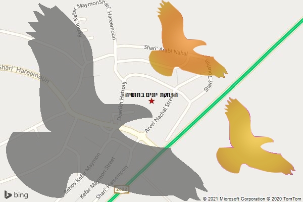 הרחקת יונים בתושיה