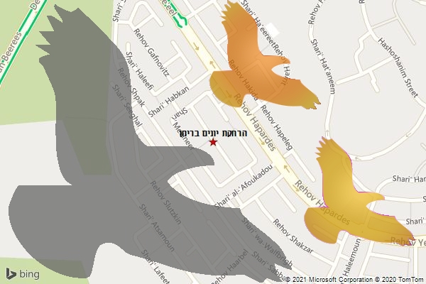 הרחקת יונים בריחן