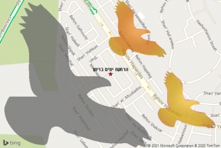מרחיק יונים בריחן - הרחקת יונים בריחן