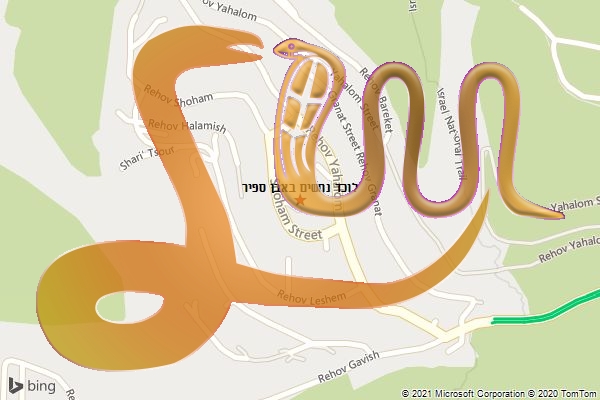 לוכד נחשים באבן ספיר