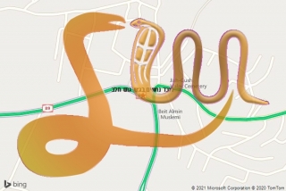 לכידת נחש בג׳ש גוש חלב - לוכד נחשים בג׳ש גוש חלב