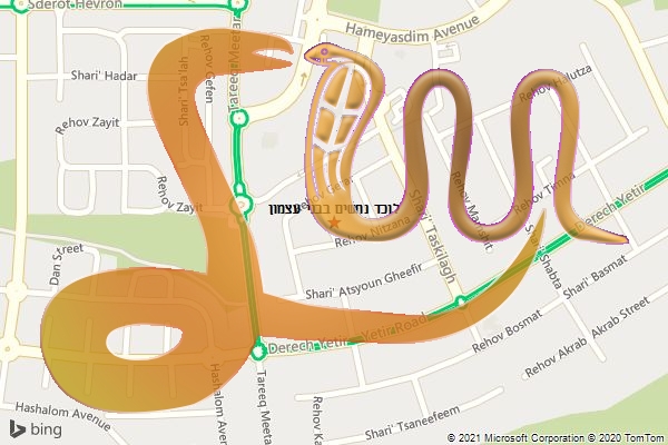 לוכד נחשים בבני עצמון