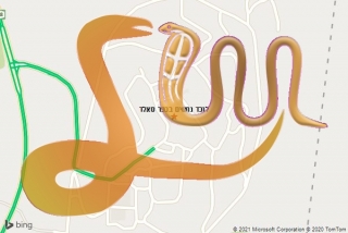 לכידת נחש בכפר סאלד - לוכד נחשים בכפר סאלד