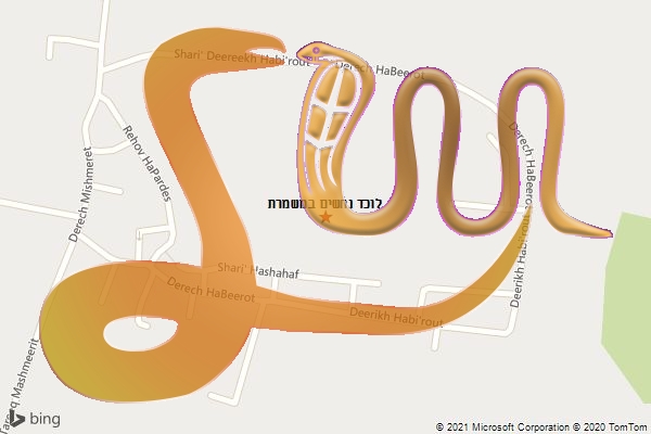 לוכד נחשים במשמרת
