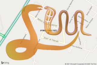 לכידת נחש בסתריה - לוכד נחשים בסתריה