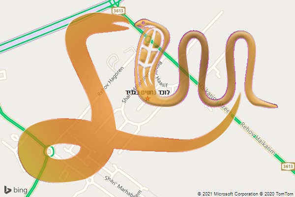 לוכד נחשים בגדיד