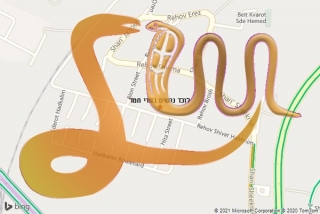 לכידת נחש בשדי חמד - לוכד נחשים בשדי חמד