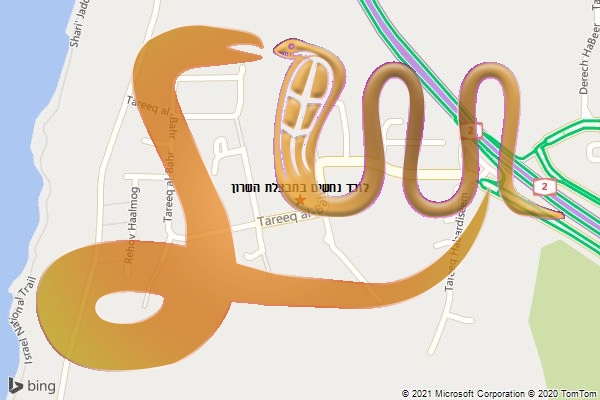 לוכד נחשים בחבצלת השרון