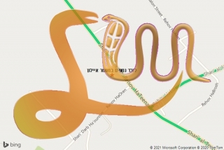 לכידת נחש במשמר איילון - לוכד נחשים במשמר איילון