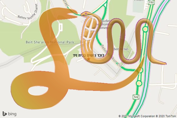 לוכד נחשים בבית זיד