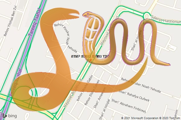 לוכד נחשים בנחלת יהודה