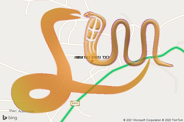 לוכד נחשים בעראמשה