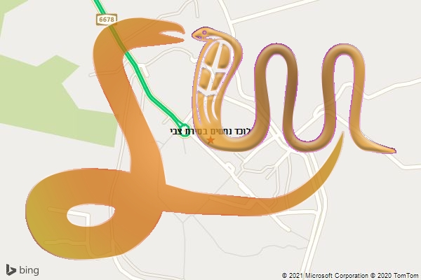 לוכד נחשים בטירת צבי