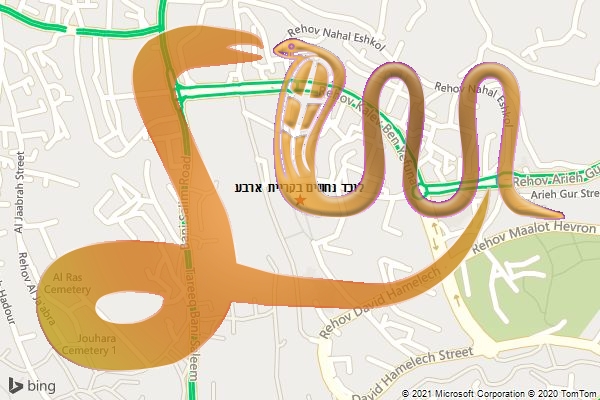 לוכד נחשים בקריית ארבע