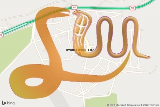 לכידת נחש במחניים - לוכד נחשים במחניים
