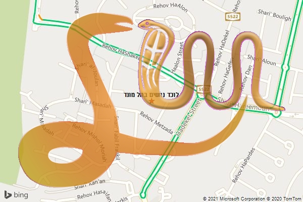 לוכד נחשים בתל מונד