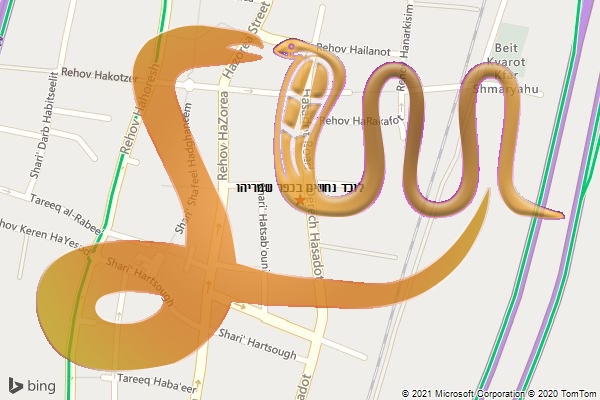 לוכד נחשים בכפר שמריהו