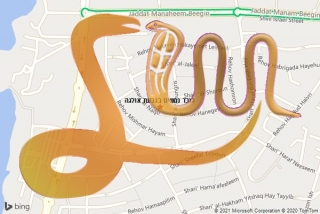 לכידת נחש בגבעת אולגה - לוכד נחשים בגבעת אולגה