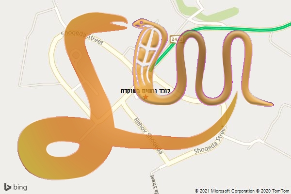 לוכד נחשים בשוקדה