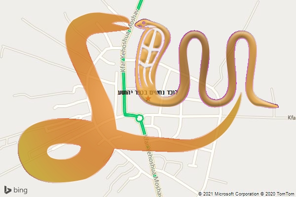 לוכד נחשים בכפר יהושע
