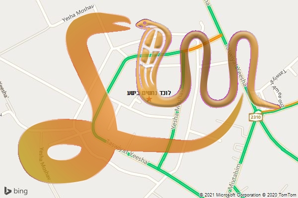 לוכד נחשים בישע