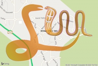  בקורנית - לוכד נחשים בקורנית