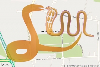 לכידת נחש בניר צבי - לוכד נחשים בניר צבי