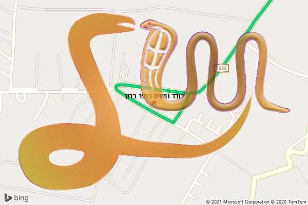 לוכד נחשים בכפר ברוך