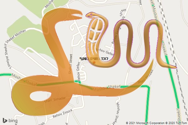 לוכד נחשים בשקף