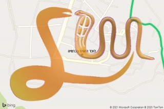 לכידת נחש בכרמיה - לוכד נחשים בכרמיה