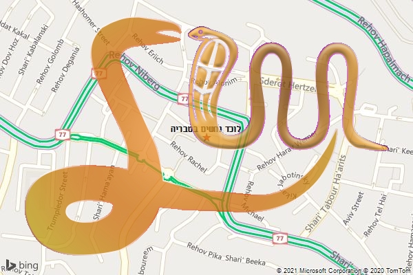 לוכד נחשים בטבריה