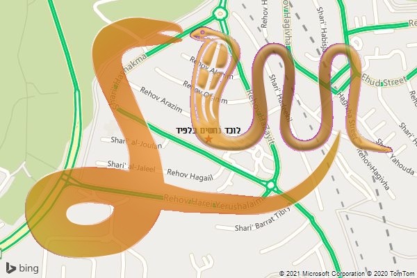 לוכד נחשים בלפיד