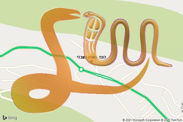 לוכד נחשים בשבלי