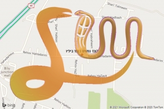 לכידת נחש בכפר ביל״ו - לוכד נחשים בכפר ביל״ו