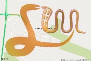 לכידת נחש בלהבות חביבה - לוכד נחשים בלהבות חביבה