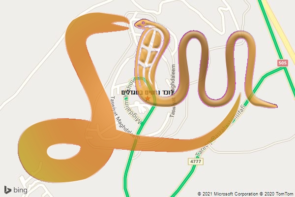 לוכד נחשים במגדלים