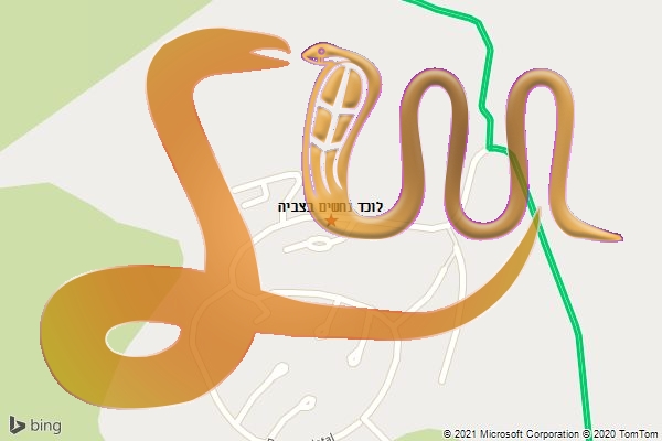 לוכד נחשים בצביה
