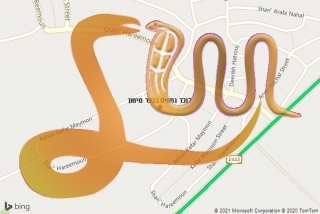 לכידת נחש בכפר מימון - לוכד נחשים בכפר מימון