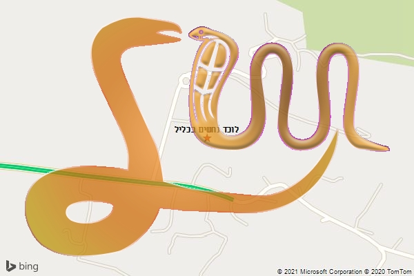 לוכד נחשים בכליל